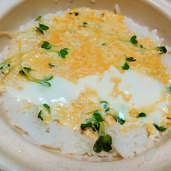 カイワレ散らしのさっぱり卵おじや